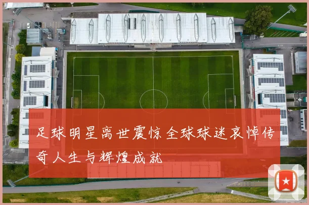 足球明星离世震惊全球球迷哀悼传奇人生与辉煌成就