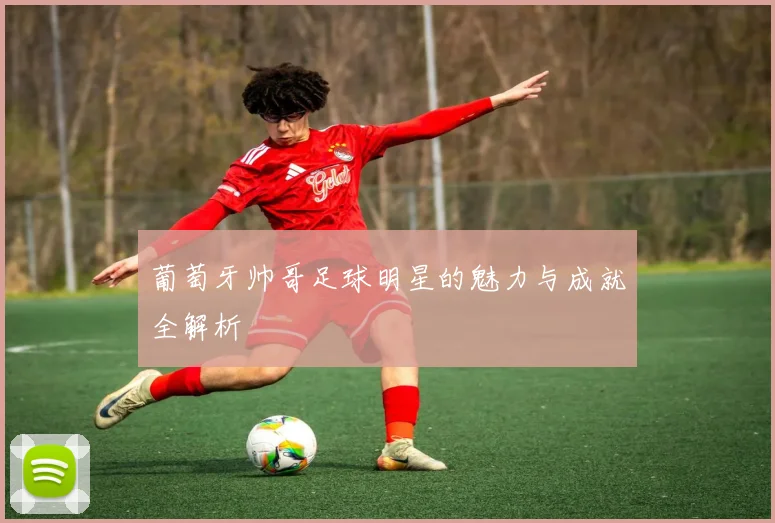 葡萄牙帅哥足球明星的魅力与成就全解析