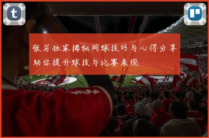 张芳独家揭秘网球技巧与心得分享助你提升球技与比赛表现