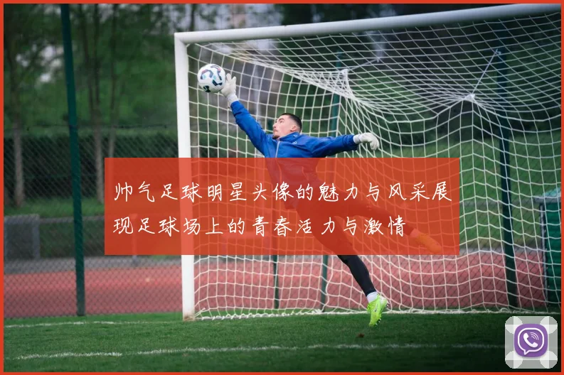 帅气足球明星头像的魅力与风采展现足球场上的青春活力与激情