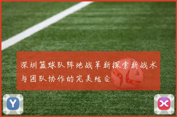 深圳篮球队阵地战革新探索新战术与团队协作的完美结合