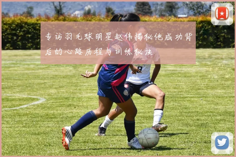 专访羽毛球明星赵伟揭秘他成功背后的心路历程与训练秘诀