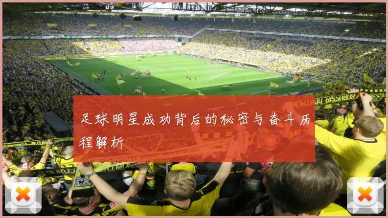 足球明星成功背后的秘密与奋斗历程解析