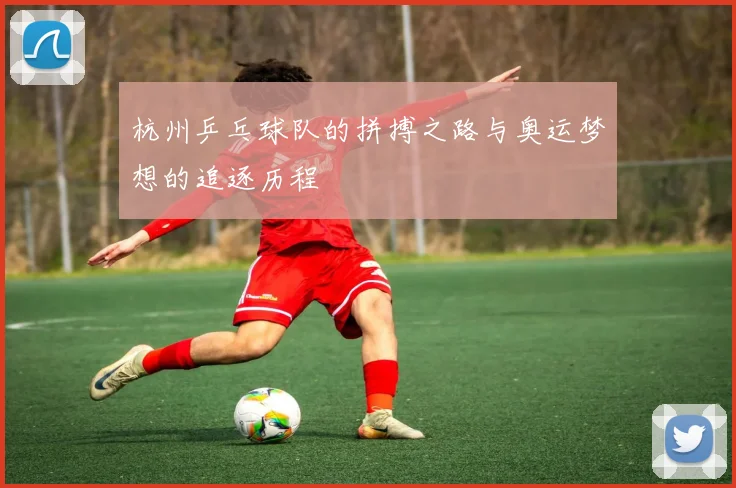 杭州乒乓球队的拼搏之路与奥运梦想的追逐历程