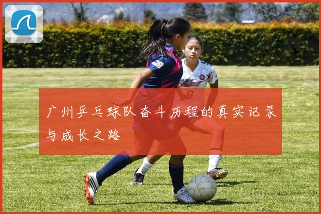 广州乒乓球队奋斗历程的真实记录与成长之路