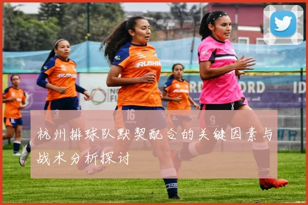 杭州排球队默契配合的关键因素与战术分析探讨