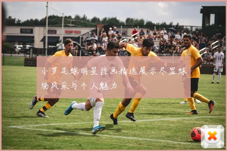 小罗足球明星挂画精选展示尽显球场风采与个人魅力