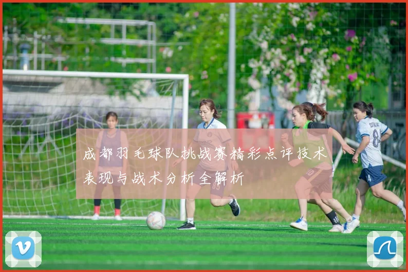 成都羽毛球队挑战赛精彩点评技术表现与战术分析全解析