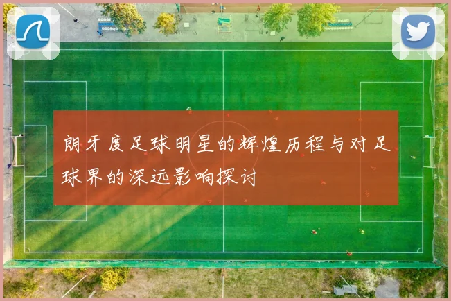 朗牙度足球明星的辉煌历程与对足球界的深远影响探讨