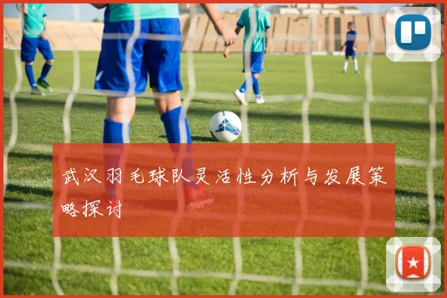 武汉羽毛球队灵活性分析与发展策略探讨