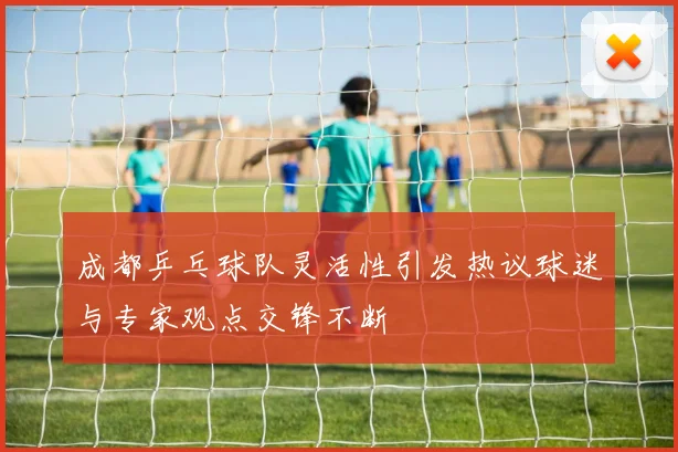 成都乒乓球队灵活性引发热议球迷与专家观点交锋不断