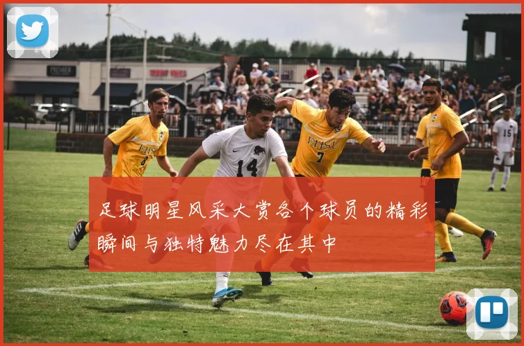 足球明星风采大赏各个球员的精彩瞬间与独特魅力尽在其中