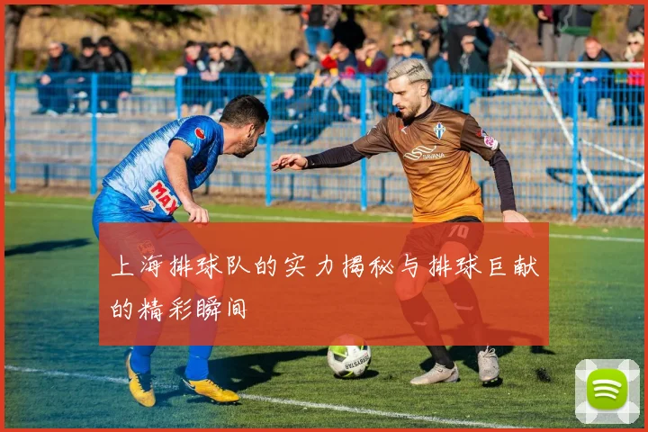 上海排球队的实力揭秘与排球巨献的精彩瞬间