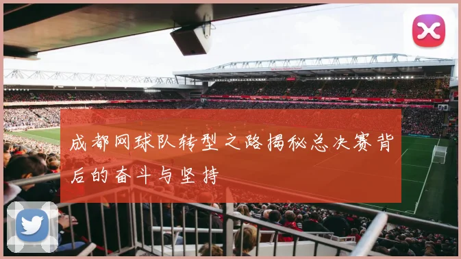 成都网球队转型之路揭秘总决赛背后的奋斗与坚持