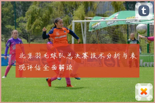北京羽毛球队总决赛技术分析与表现评估全面解读
